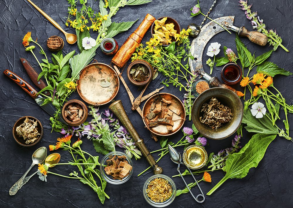 medicinal herbs