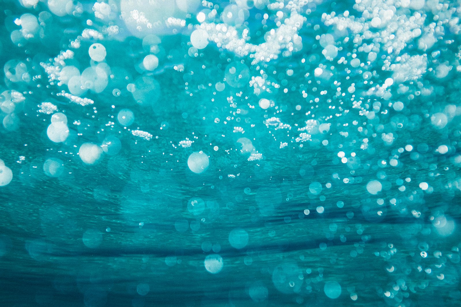 Toxic Tap Water? The Best Water Purifiers to Protect Your Health