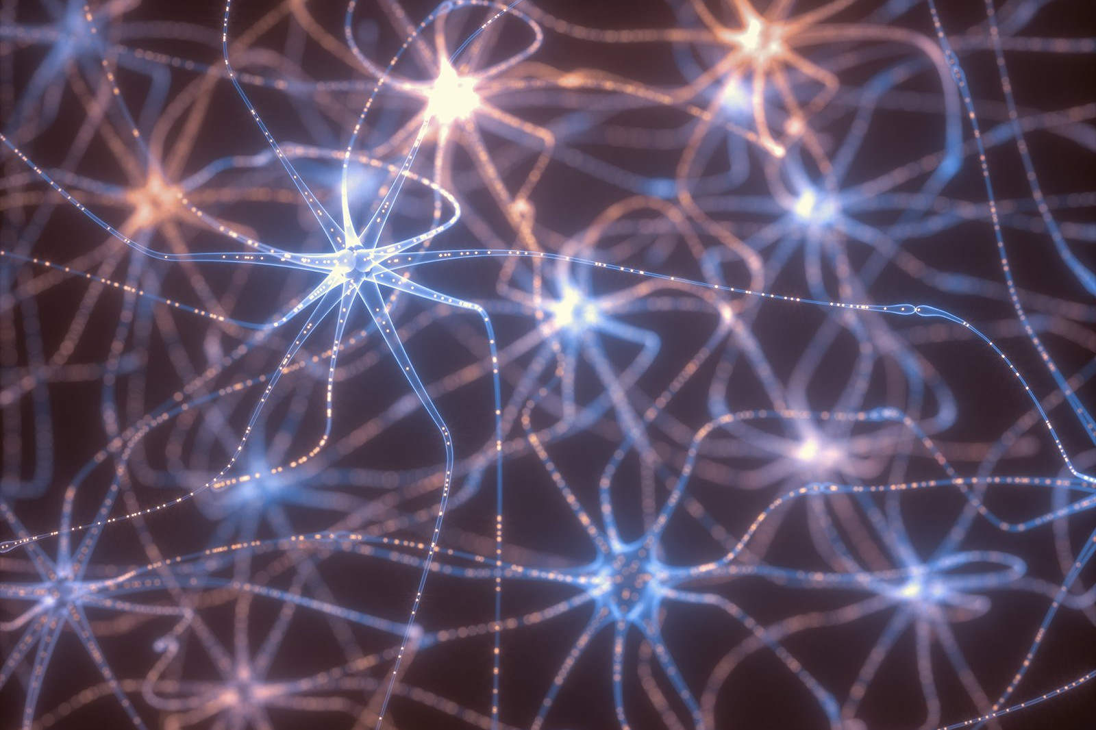 The Most Dangerous Toxins Aren’t in Your Environment, They’re in Your Nervous System