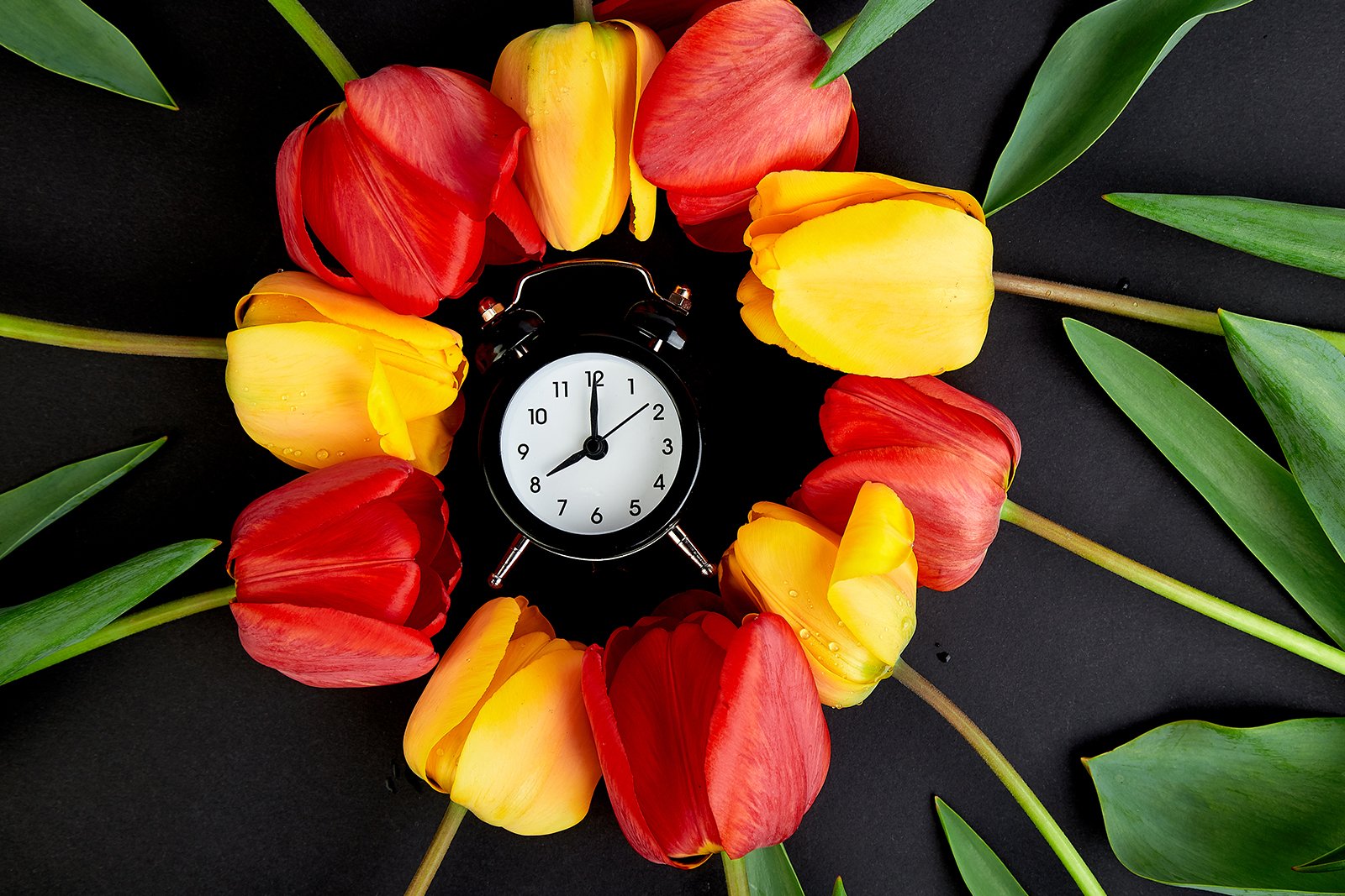 Your Body Isn't Lazy. It's Lost Its Sense of Time